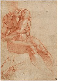 Michelangelo: Ungdomstid, Pietà, Galleri