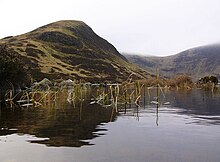 Mid Craig from Loch Skeen