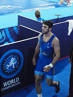 <span class="mw-page-title-main">Milad Alirzaev</span> Russian Greco-Roman wrestler