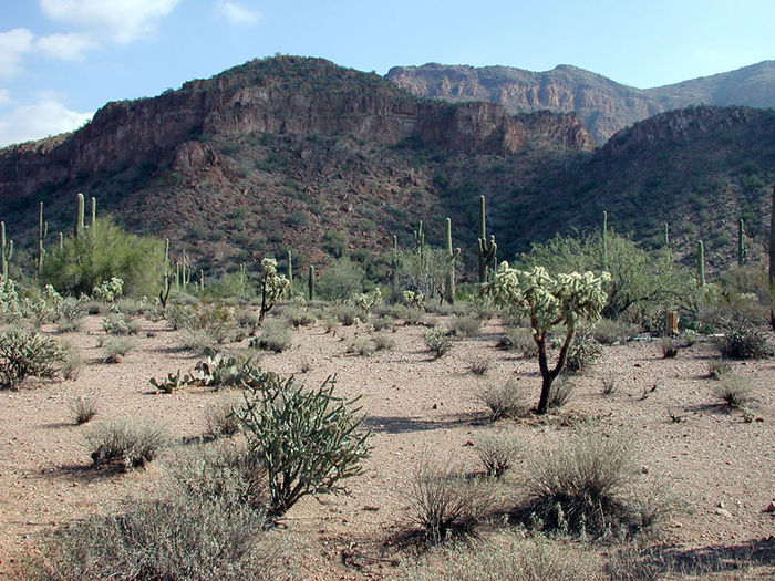 Mineral Mountains viewed from the south, near the entrance to Box Canyon Mineral mountains arizona.jpg