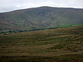 Moorland with view of Foel Cwmcerwyn - geograph.org.uk - 1447660.jpg