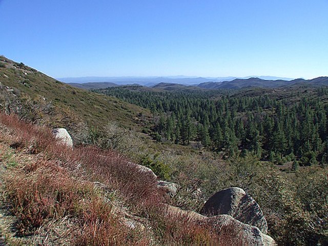 Cleveland National Forest from Laguna Mountain