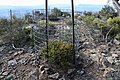 Protection for the threatened Genowlan Point Pea (Pultenaea sp. Genowlan Pt)