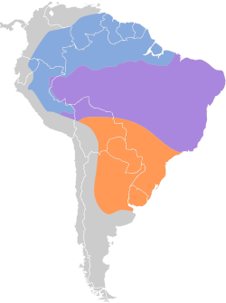 Distribución geográfica del bienteveo rayado meridional.