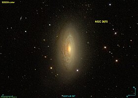 Suuntaa-antava kuva artikkelista NGC 3675