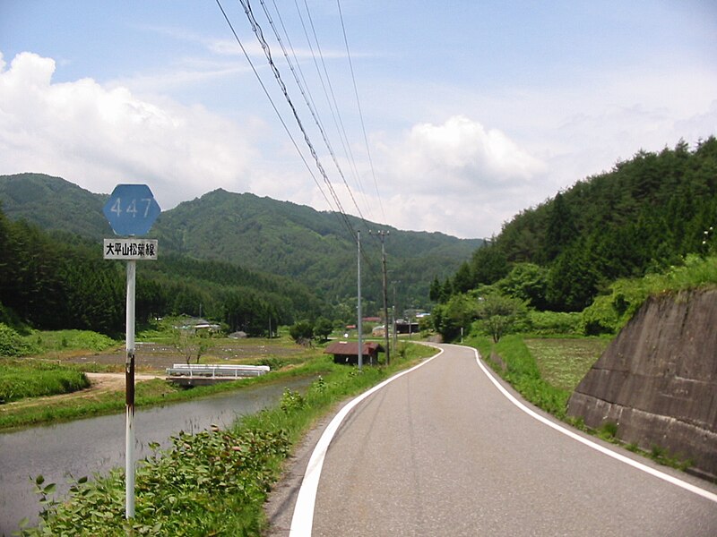 File:Nagano kendo 447 Urugi.JPG