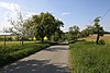 Natural monument fruit tree and lime tree avenue at Dreispitz, identification 81150530016, Jettingen-Sindlingen 03.jpg