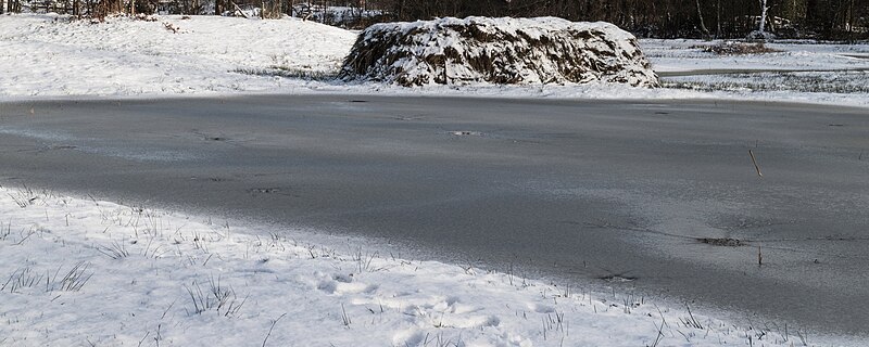 File:Natuurterrein The nature Famberhorst. Incident thaw. Invallende dooi.JPG