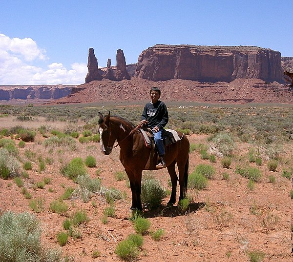 A Navajo boy in the desert in present-day Monument Valley in Arizona with the "Three Sisters" rock formation in the background in 2007