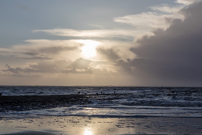 File:Norderney, Weststrand -- 2018 -- 1101.jpg