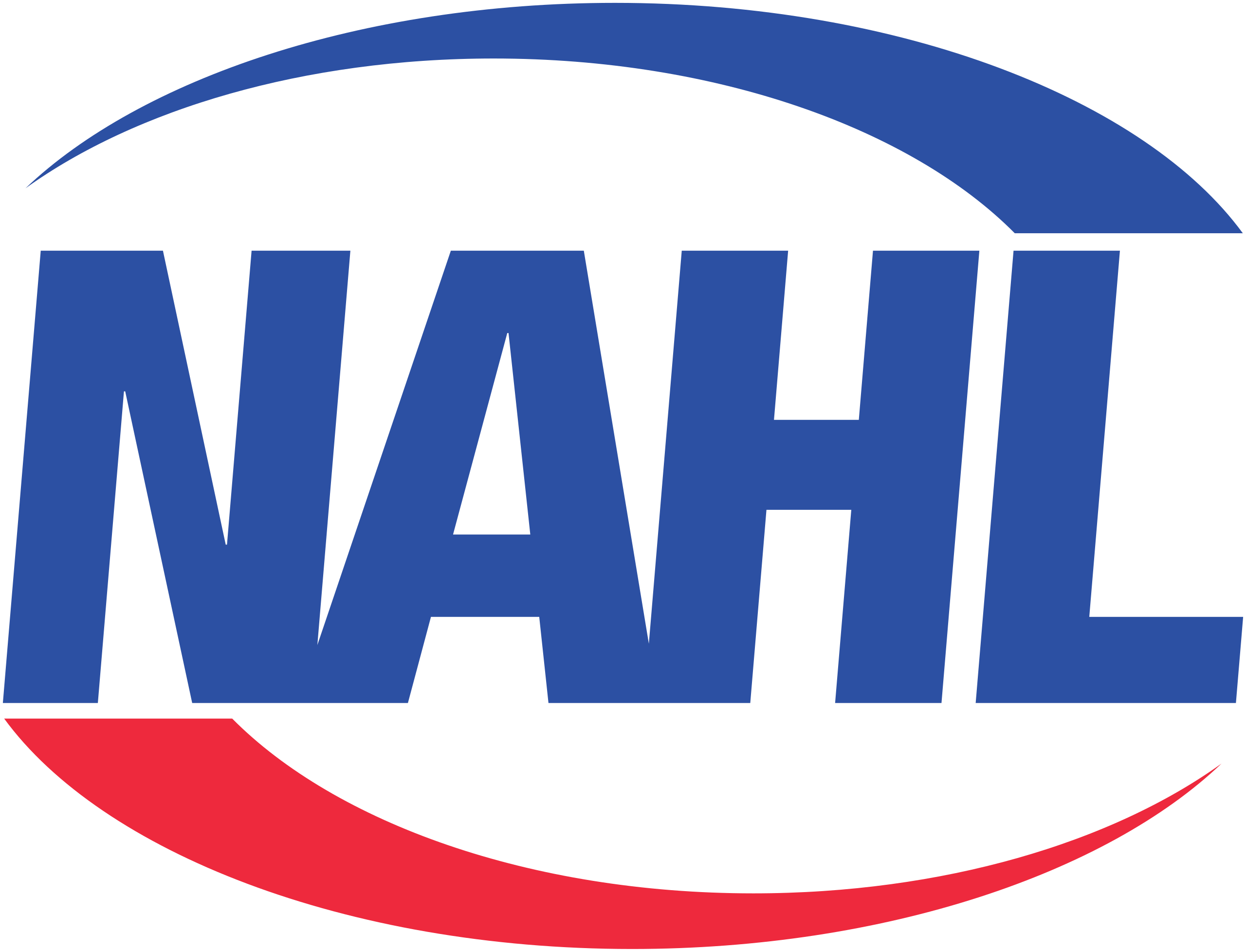 hockey vector logo