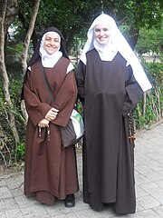 The religious habit of the Carmelite Order is brown and includes the Scapular of Our Lady of Mount Carmel (also known as Brown Scapular).