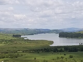 <span class="mw-page-title-main">Lake Nyabihoko</span> Lake in Uganda