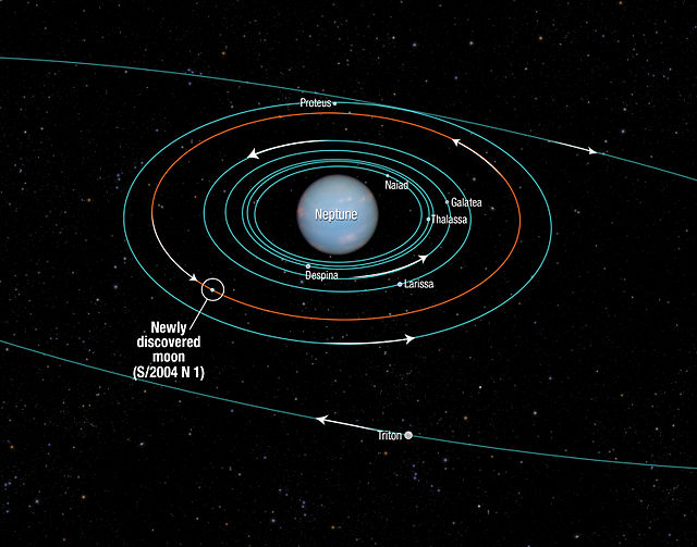 Diagram of Neptune's inner satellites.