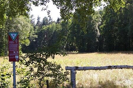 Orchideenwiese bei Diepenau