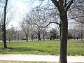 Thumbnail for Oz Park