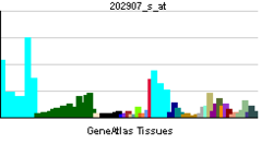 PBB GE NBN 202907 s ĉe tn.png