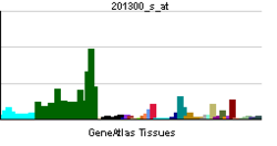 PBB GE PRNP 201300 s at tn.png