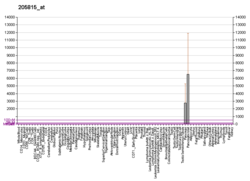 PBB GE REG3A 205815 в формате fs.png