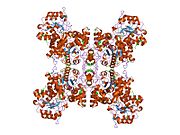 PDB 1efk EBI.jpg