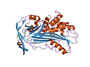 1iz2​: Interakcije uzrokuju kinetičku klopku u savijanju serpinskog proteina