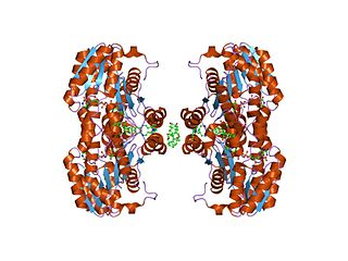 <span class="mw-page-title-main">Cortisone reductase deficiency</span> Medical condition