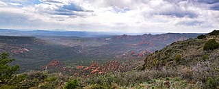 <span class="mw-page-title-main">Sycamore Canyon Wilderness</span> Protected area in northern Arizona