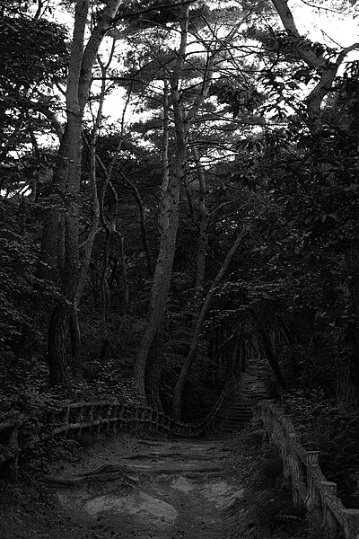 File:Path to King Jeonggang.jpg