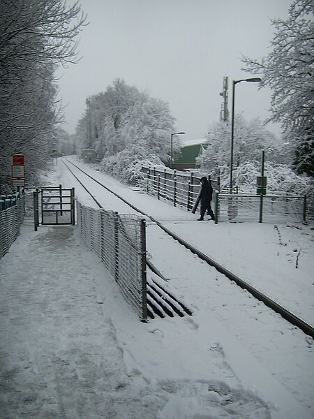 File:Pedestrian Railway Crossing - geograph.org.uk - 1727681.jpg