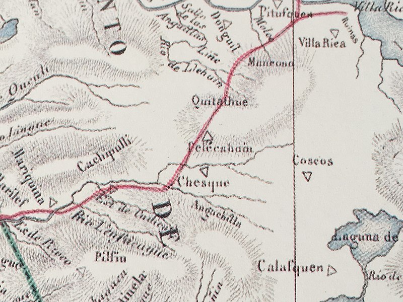 File:Pelecahuín en Atlas de Claudio Gay.jpg