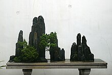 A specimen in the Landscape Penjing (shanshui penjing) style Penjing.JPG