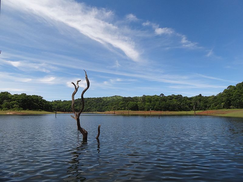 File:Periyar Lake 05.jpg