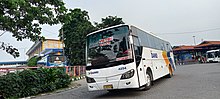 A DAMRI intercity bus showing its new colors. Perum DAMRI AKDP patas Surabaya-Ketapang (Oktober 2022).jpg