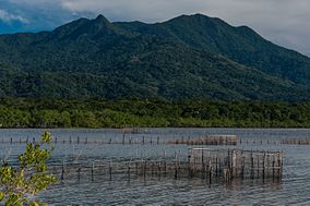 Pesca tradicional no Parque Estadual da Ilha do Cardoso.jpg