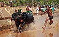 Sport of Karnata Praant (Hindustan)