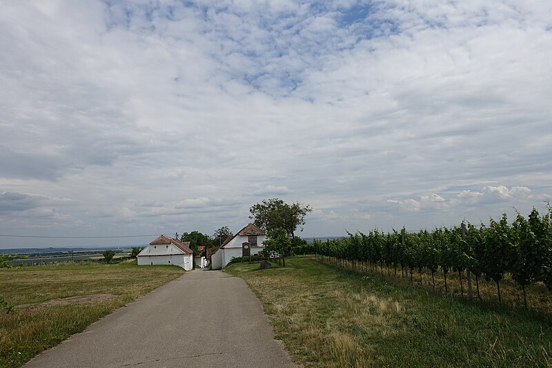 File:Pillersdorf, Öhlbergkellergasse.jpg