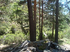 Parque Nacional Da Peneda-Gerês: Localidades, História, Actualidade