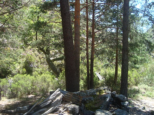 File:Poço_Azul.JPG