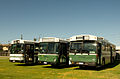 Mercedes Buses