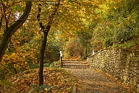 Kinsky-puisto syksyllä