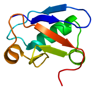 <span class="mw-page-title-main">ASPSCR1</span> Protein-coding gene in the species Homo sapiens