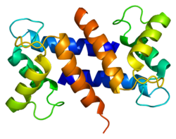 Ақуыз S100A12 PDB 1e8a.png