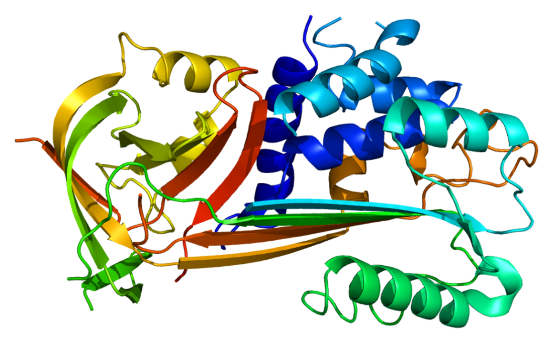 SERPINB2