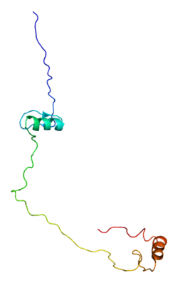 پروتئین TSHZ3 PDB 2dmi.png