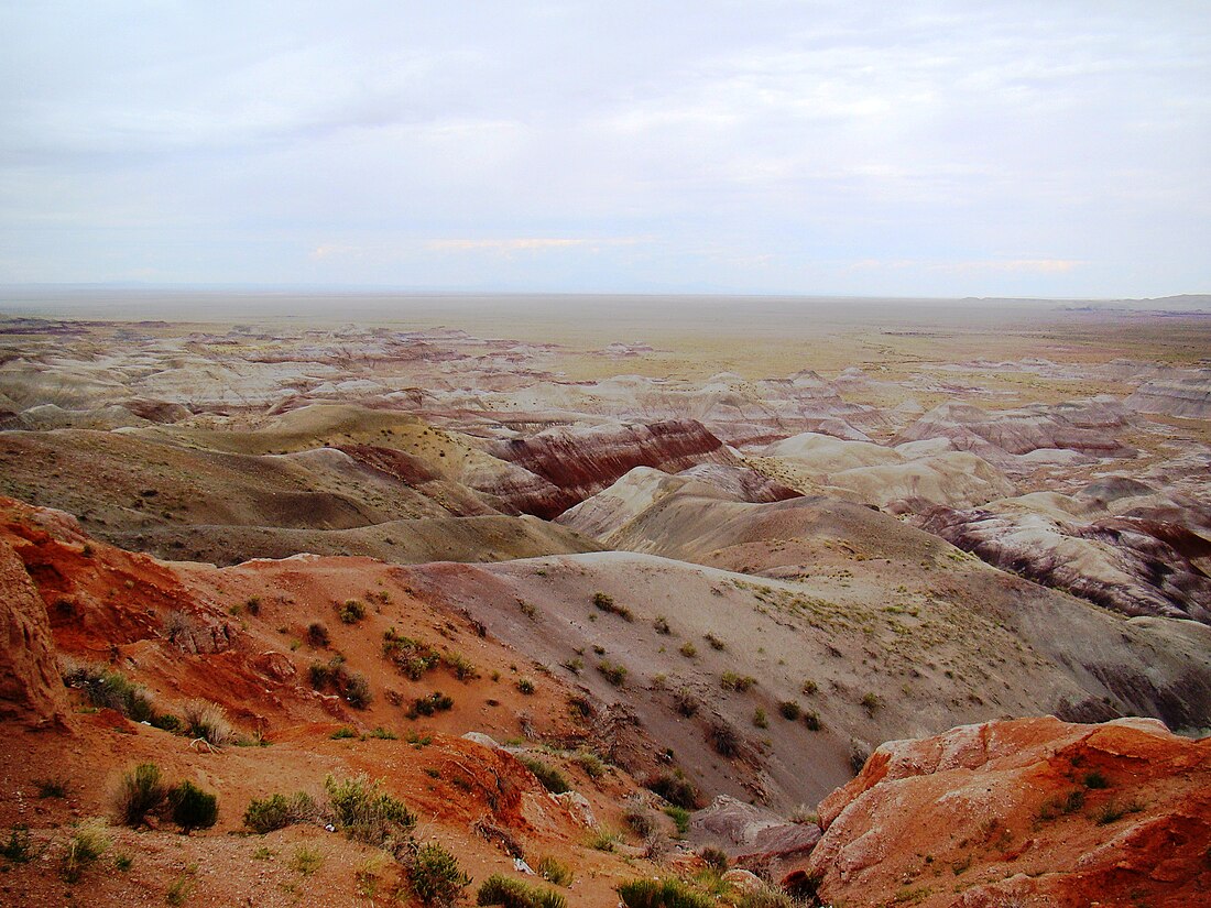 Painted Desert Petroglyphs and Ruins Archeological District