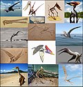 Gambar mini seharga Pterosaurus