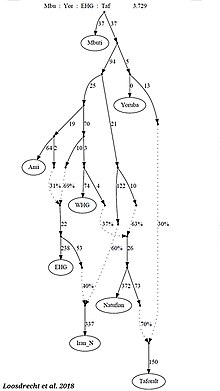 qpGraph on a possible scenario for the formation of EHG and other ancient human lineages. The EHG are modeled as combination of WHG-like and East Asian-like ancestries, paralleling the genetic makeup of Ancient North Eurasians. QpGraph on ancient population lineages.jpg