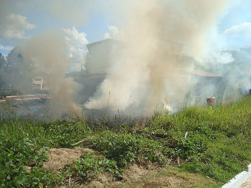 File:Queimada em terreno baldio 02.JPG