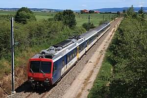 Modrobílý vlak na jednokolejné železniční trati obklopený zelenými listy