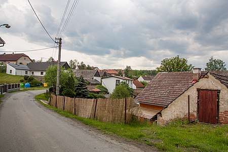 Radíč